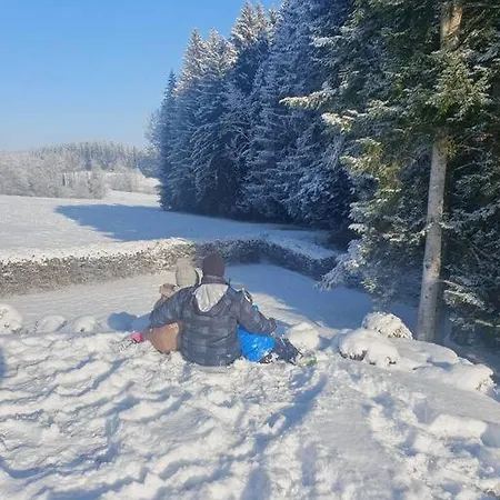 Im Allgaeu Mit Bergsicht * Oberreute